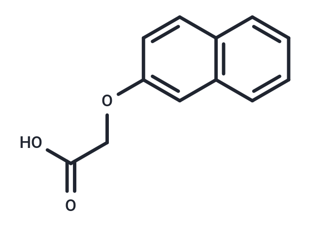 2-Naphthoxyacetic acid