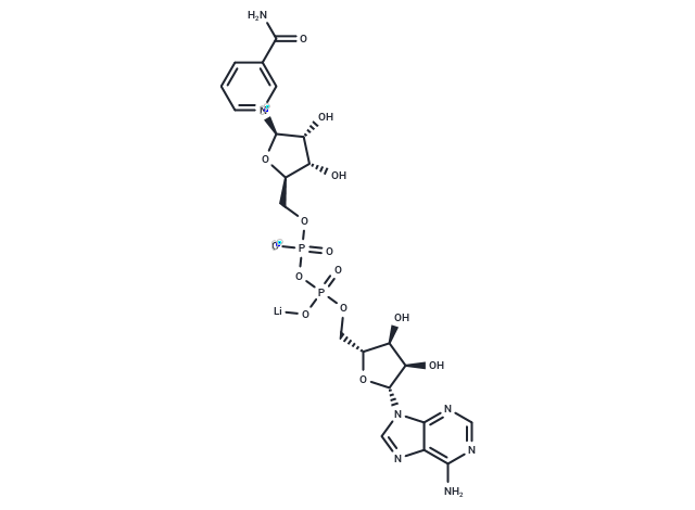 NAD+ lithium
