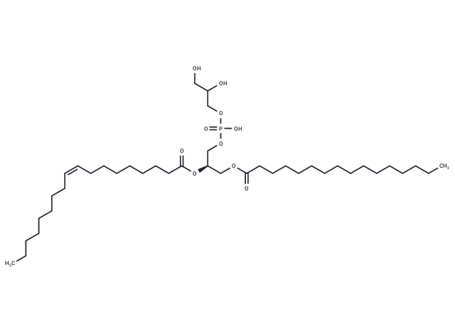 1-Palmitoyl-2-oleoyl-sn-glycero-3-phosphatidylglycerol