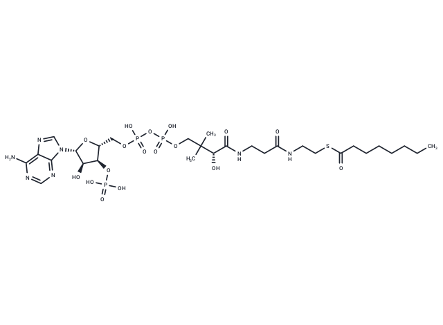 Octanoyl Coenzyme A