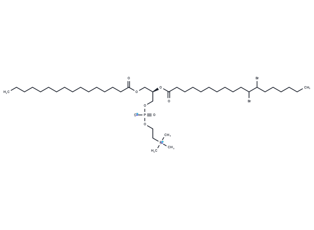 16:0-18:0(11-12BR) PC