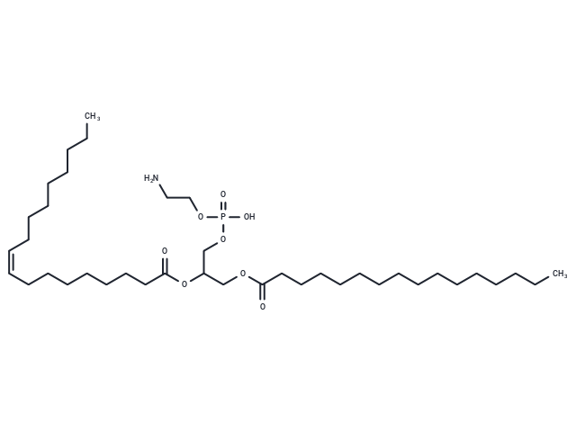 1-Palmitoyl-2-oleoylphosphatidylethanolamine