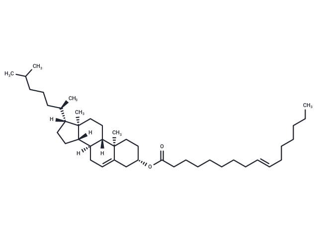 Cholesteryl trans-9-hexadecenoate