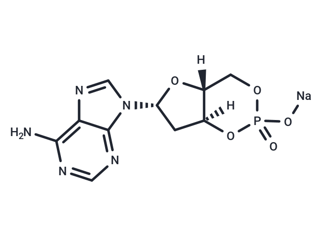 2'-Deoxyadenosine 3':5'-cyclic monophosphate sodium
