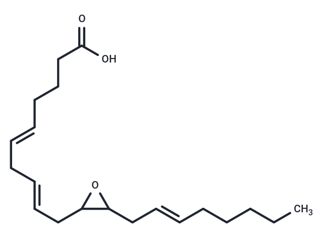 11,12-Epoxyeicosatrienoic acid
