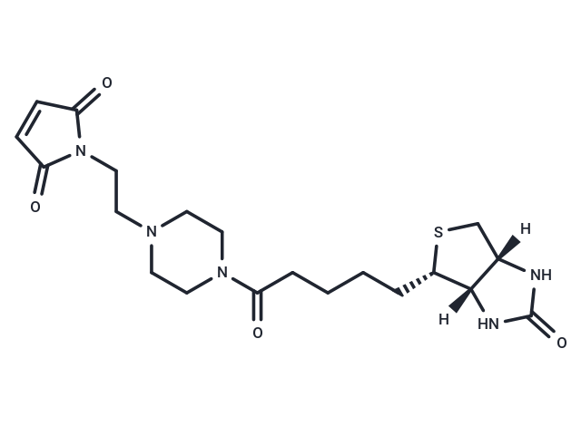 Biotin-PE-maleimide