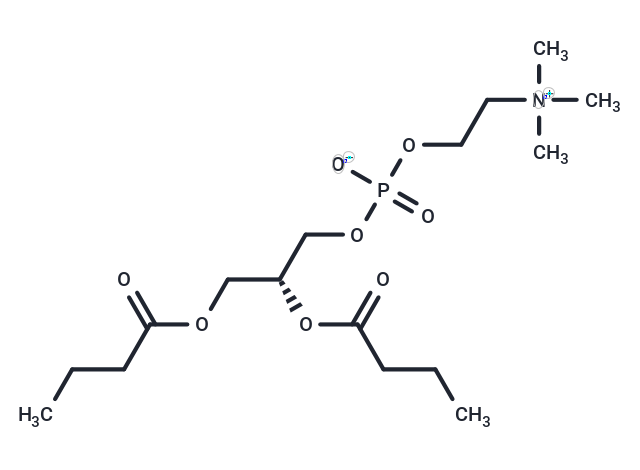 1,2-Dibutyryl-sn-glycero-3-phosphocholine