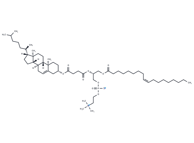 OChemsPC