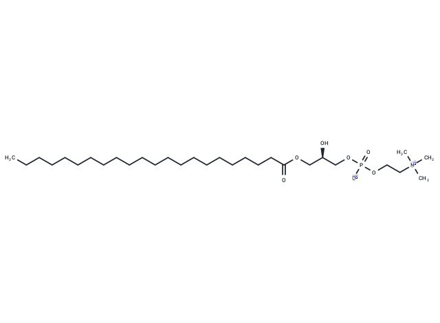 1-Docosanoyl-sn-glycero-3-phosphocholine