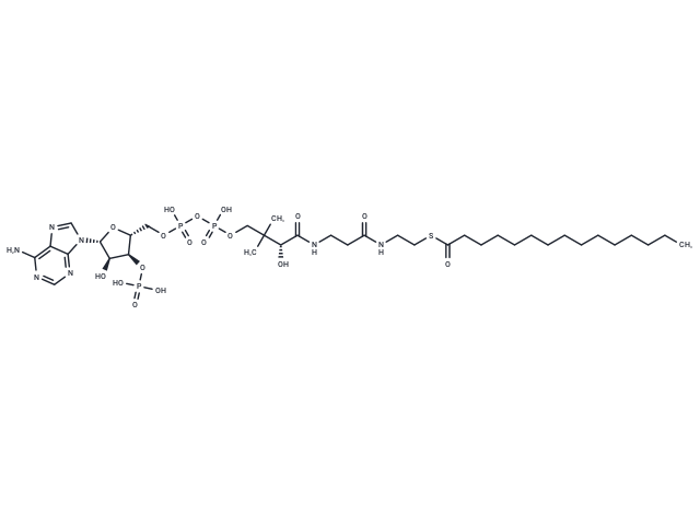 Pentadecanoyl coenzyme A