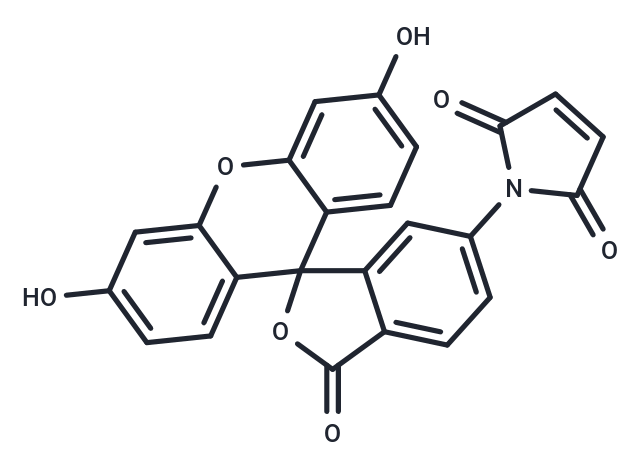 Fluorescein 6-maleimide