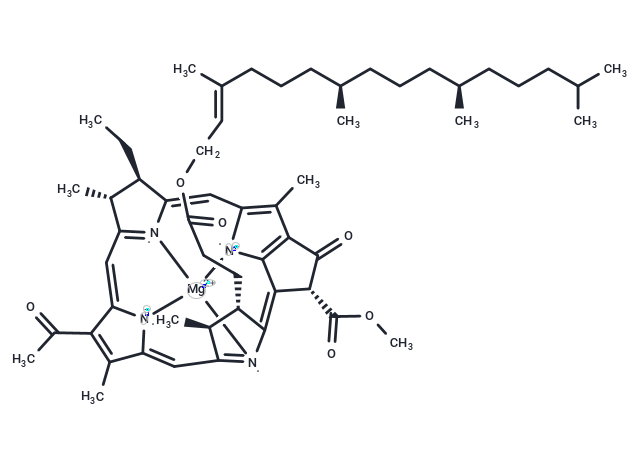 Bacteriochlorophyll a