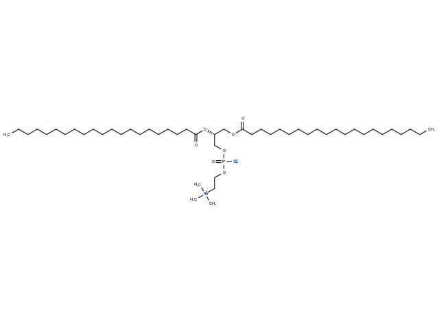 1,2-Diheneicosanoyl-sn-glycero-3-phosphocholine