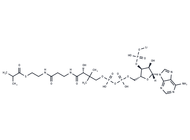 Isobutyryl coenzyme A lithium