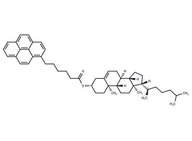 Cholesteryl (pyren-1-yl)hexanoate
