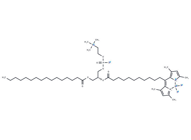 1-Palmitoyl-2-(dipyrrometheneboron difluoride)undecanoyl-sn-glycero-3-phosphocholine