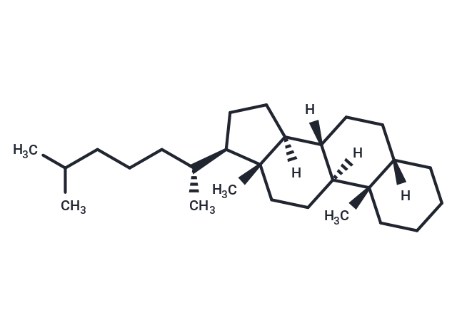 5β-Cholestane