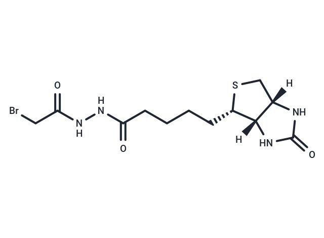 Biotin N-(bromoacetyl)hydrazide
