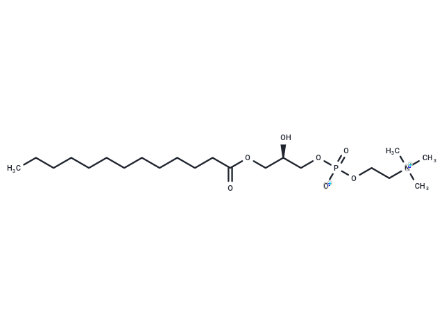 1-Tridecanoyl-2-hydroxy-sn-glycero-3-phosphocholine