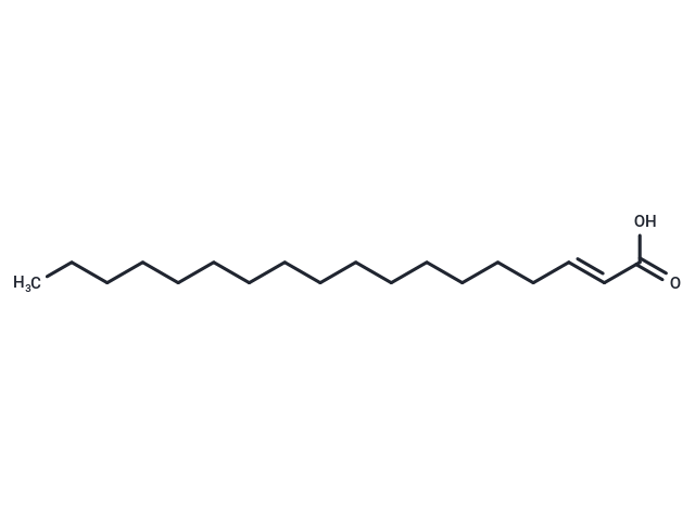 trans-2-Octadecenoic acid