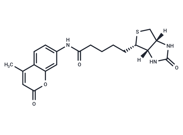 N-d-Biotinyl-7-amino-4-methylcoumarin