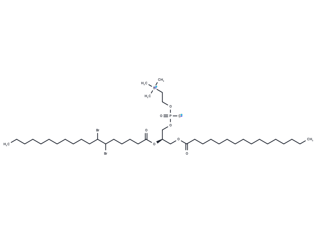 1-Palmitoyl-2-(6,7-dibromo)stearoyl-sn-glycero-3-phosphocholine