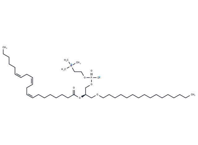 Dihomo-γ-Linolenoyl PAF C-16