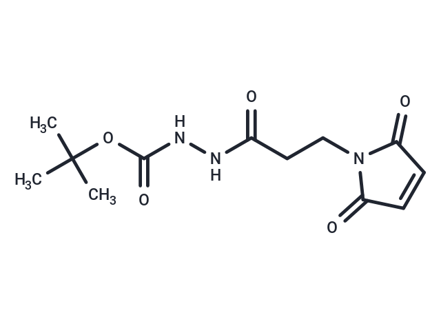 3-(Maleimidopropane-1-carbonyl-1-(tert-butyl)carbazate