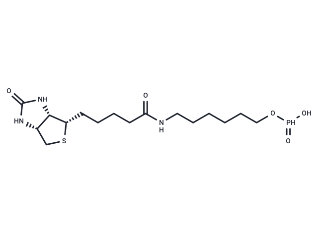 6-N-Biotinylaminohexyl hydrogenphosphonate