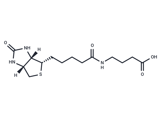 N-Biotinyl-4-aminobutanoic acid