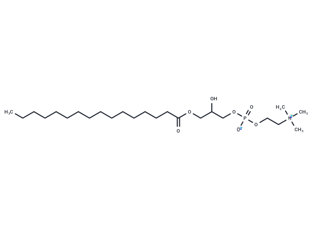 (Rac)-1-Palmitoyl-glycero-3-phosphocholine