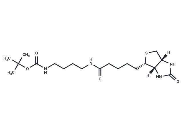 N-Biotinyl-N'-Boc-1,4-butanediamine