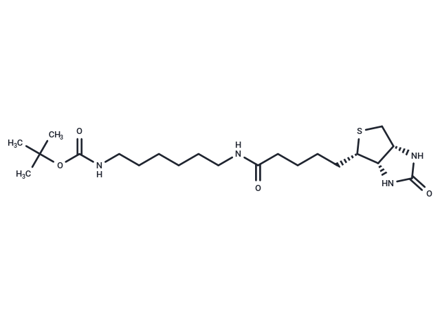 N-Biotinyl-N'-Boc-1,6-hexanediamine