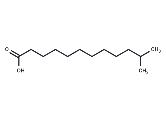 11-Methyllauric acid