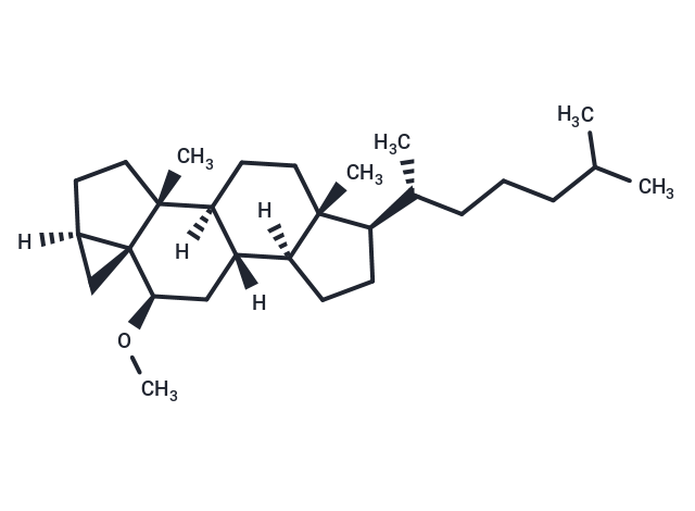 i-Cholesteryl methyl ether