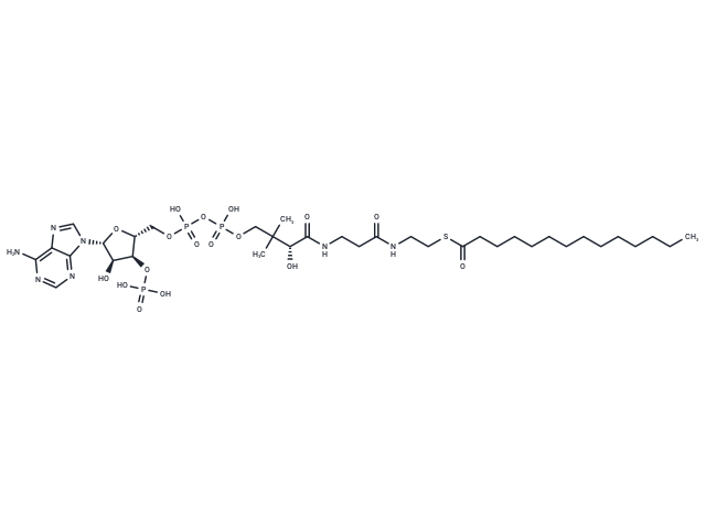 Myristoyl coenzyme A