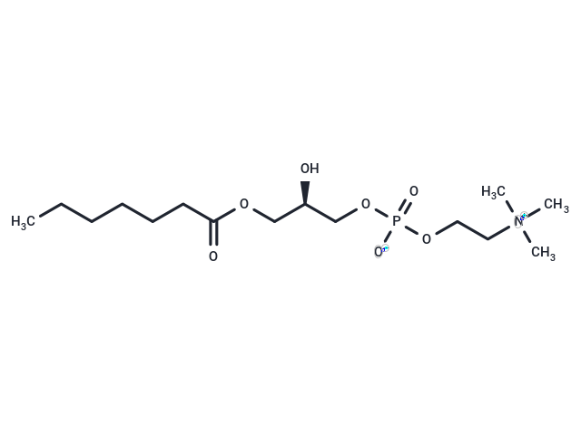 1-Heptanoyl-2-hydroxy-sn-glycero-3-phosphocholine