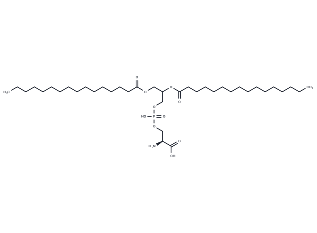 1,2-Dipalmitoyl-rac-glycero-3-phospho-L-serine