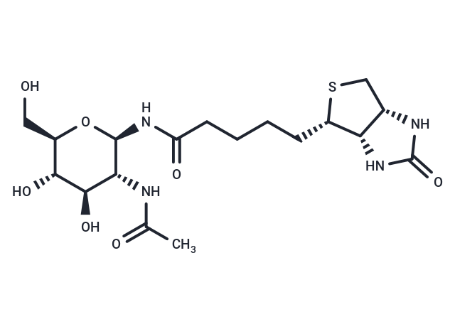 N-GlcNAc-Biotin