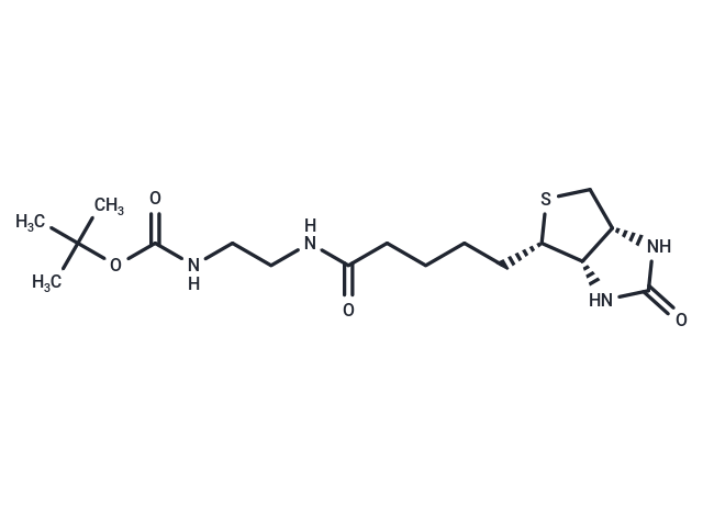 N-Boc-Biotinylethylenediamine