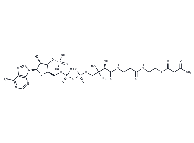 Acetoacetyl-CoA