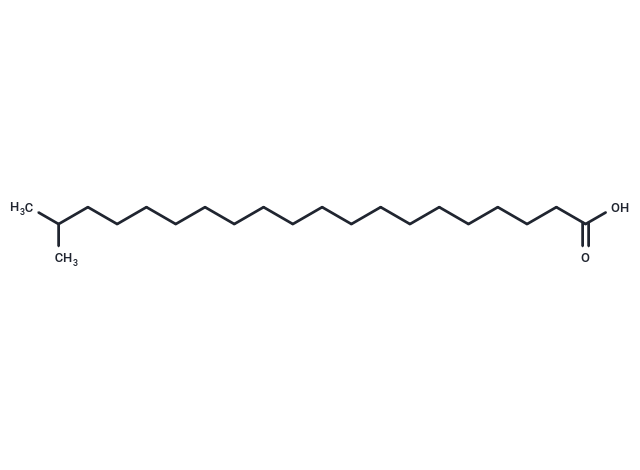19-Methyleicosanoic acid