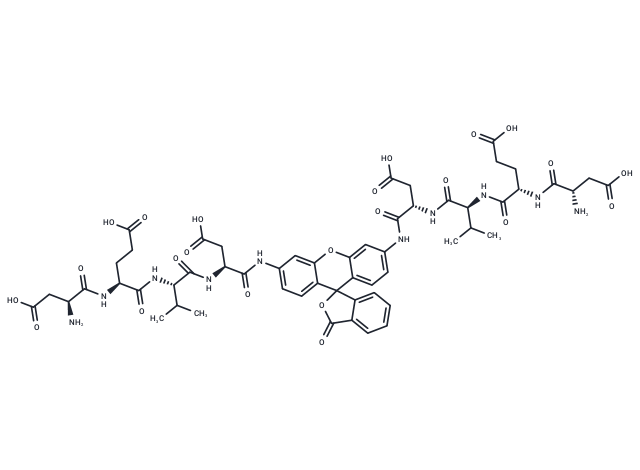 (Z-Asp-Glu-Val-Asp)2-Rh110