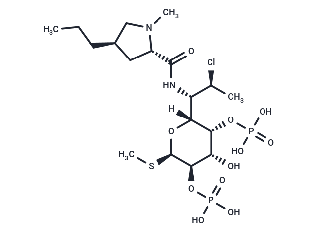 Clindamycin 2,4-diphosphate