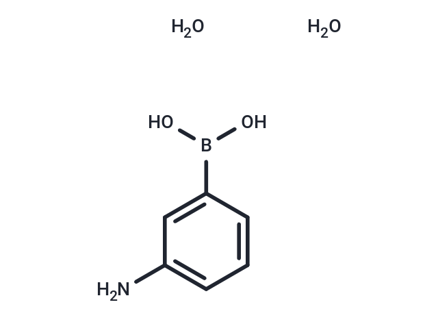 3-Aminophenylboronic acid monohydrate