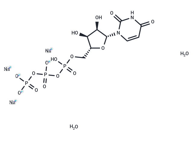 Uridine triphosphate trisodium dihydrate