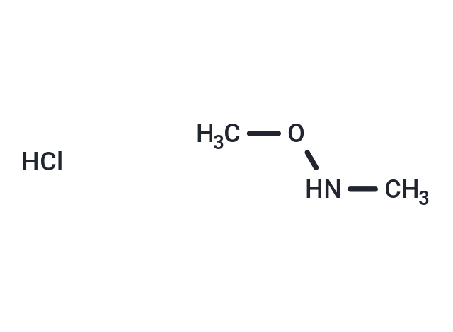 N,O-Dimethylhydroxylamine hydrochloride