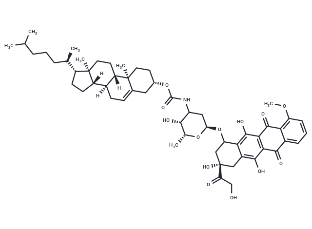Cholesterol-doxorubicin
