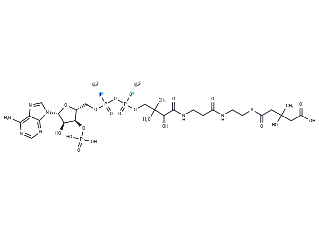 DL-3-Hydroxy-3-methylglutaryl coenzyme A disodium hydrate