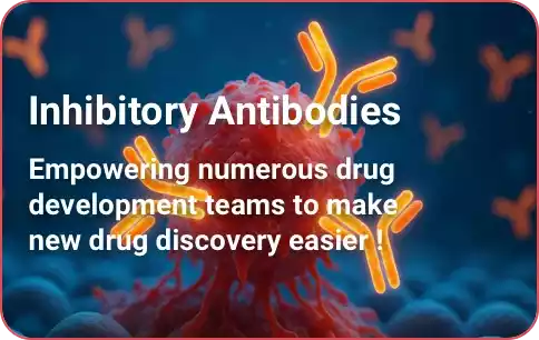 Inhibitory Antibodies